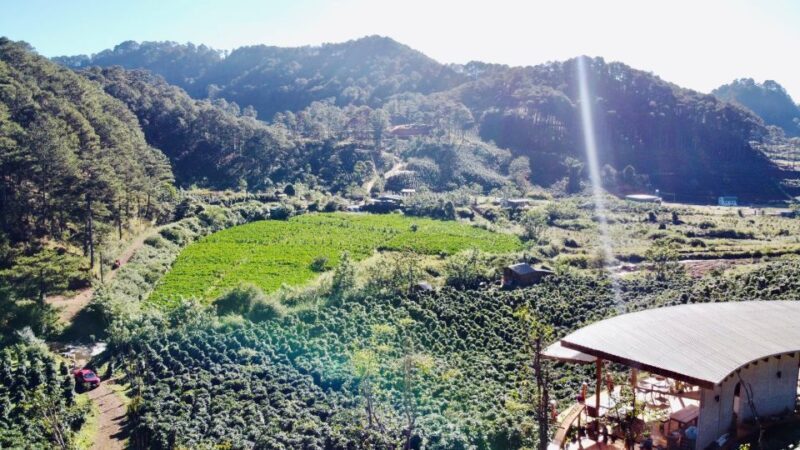 Trekking to Hidden Waterfall & Sturgeon Farm for dog-lovers - An Introduction to the Experience