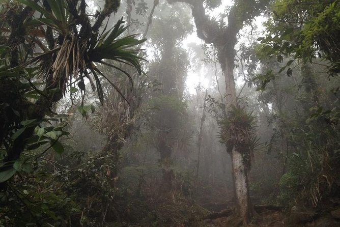 Trekking to Pico De Loro - Packing Essentials