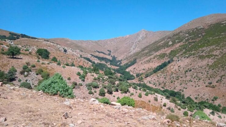 Trekking to Punta La Marmora With Centenary Picnic - Activity Details