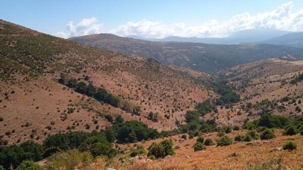 Trekking to Punta La Marmora With Centenary Picnic - The Sum Up
