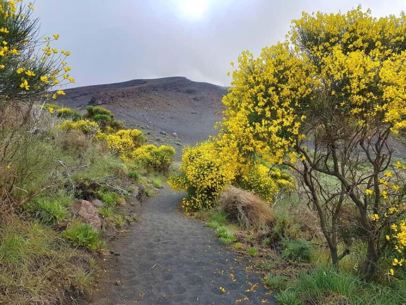 Trekking to the craters of Stromboli at sunset - FAQ