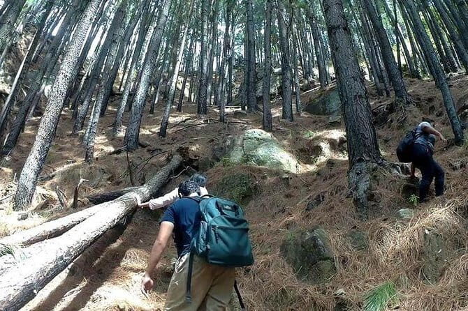 Trekking to The Highest Waterfall in Sri Lanka from Ella - Exploring the Trekking Itinerary: A Step-by-Step Guide