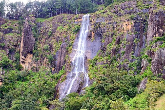 Trekking to the Highest Waterfall in Sri Lanka From Ella - Infants and Health Considerations