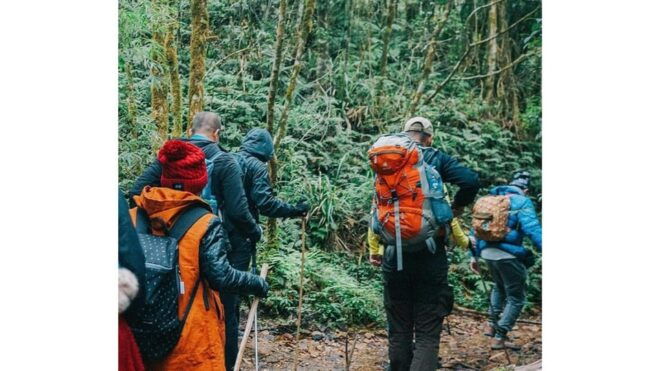 Trekking Tour Fansipan 3 Days With Homestay - Meal Inclusions