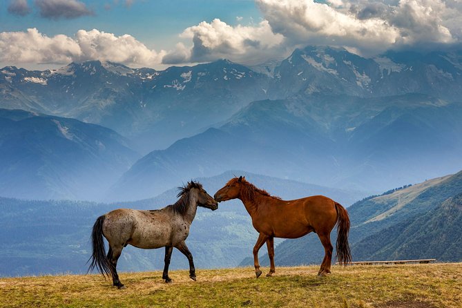 Trekking Tour From Tusheti to Kazbegi With Only Two Overnight Stays in Tents. - Itinerary Details