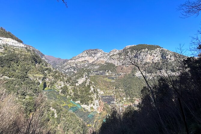Trekking Tour in Amalfi, Hidden Paths & Breathtaking Views. - Common Questions