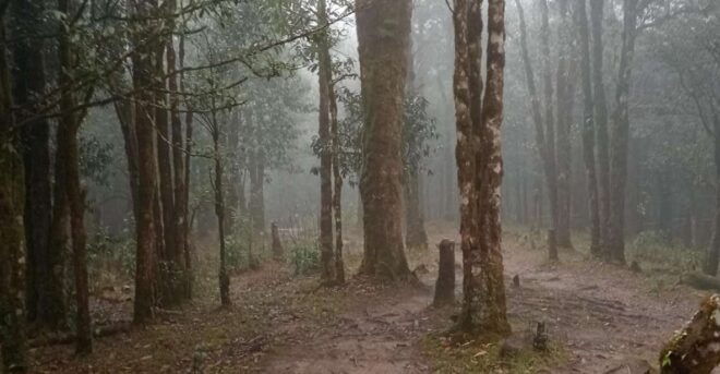 Trekking Tour to Lao Chai - Pickup Details and Itinerary Changes