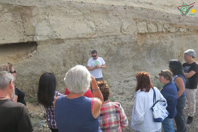 Trekking, Wineries, Birdwatching, Local Gastronomy, Etc. - Spotting Rare Bird Species in the Area