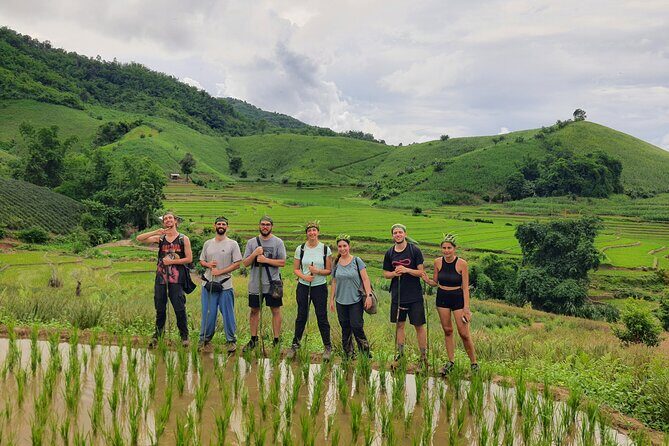 Trekking with Lunch cooked by Bamboo in the Chiang Rai jungle - Good To Know