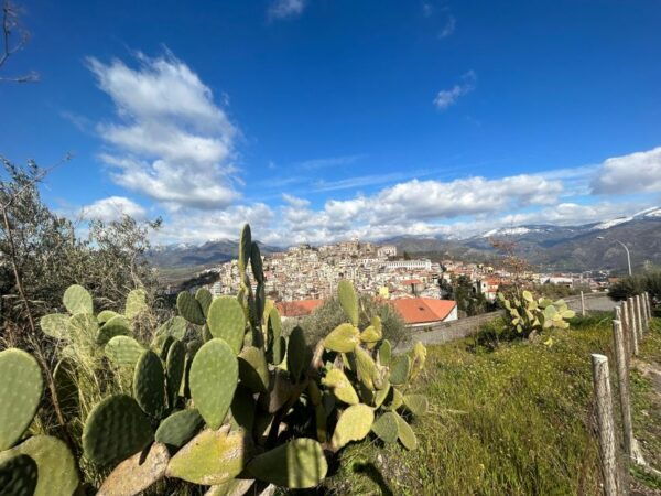 Trekking,room,tastings,dinner - The Sum Up
