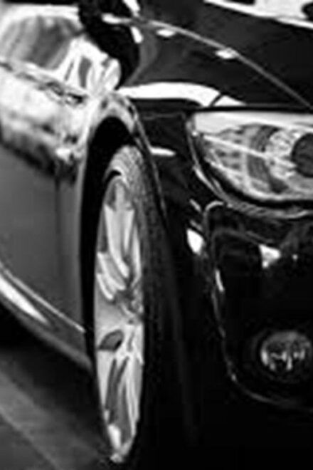 TREMEZZINA: FIRST CLASS TRANSFER FROM/TO MALPENSA AIRPORT - Payment Options