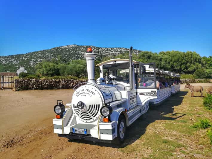 Trenino Supramonte: Guided Tour of Golgo Plateau - Activity Highlights