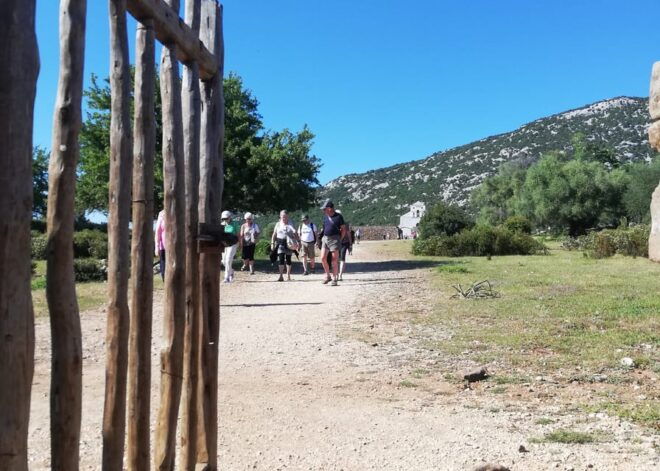Trenino Supramonte: Guided Tour of Golgo Plateau - Visiting Historical Sites