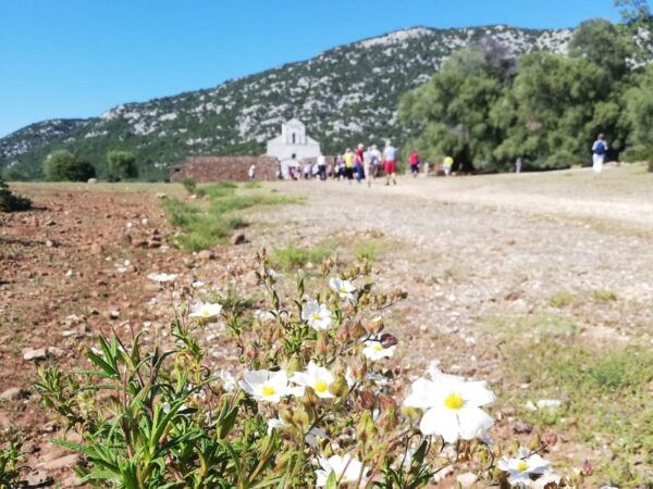 Trenino Supramonte: Guided Tour of Golgo Plateau - Customer Feedback
