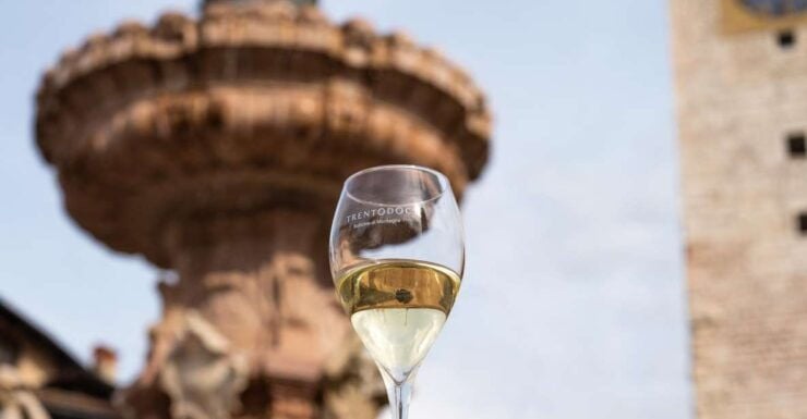 Trento and Wine: a Centuries-Long History - Viticulture Evolution in Trento Region