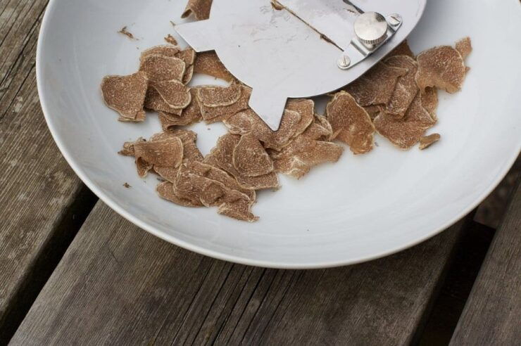 Trequanda: Tuscan Truffle Hunting Experience With Lunch - Booking Details