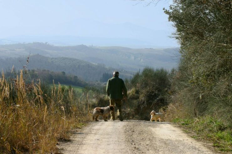 Trequanda: Tuscan Truffle Hunting Experience With Lunch - Experience Highlights