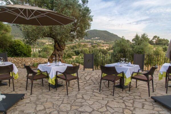 Treurer: Mediterranean Barbecue Night - Barbecue Menu Details