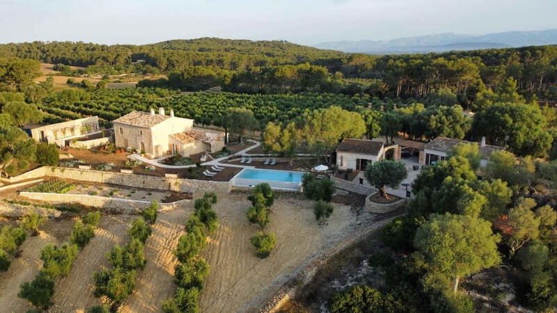 Treurer: Olive Oil Night. Gastronomic experience - Who Would Love This Experience?