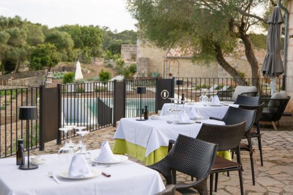 Treurer: Olive Oil Night. Gastronomic Experience - Mallorcan Gastronomy Exploration