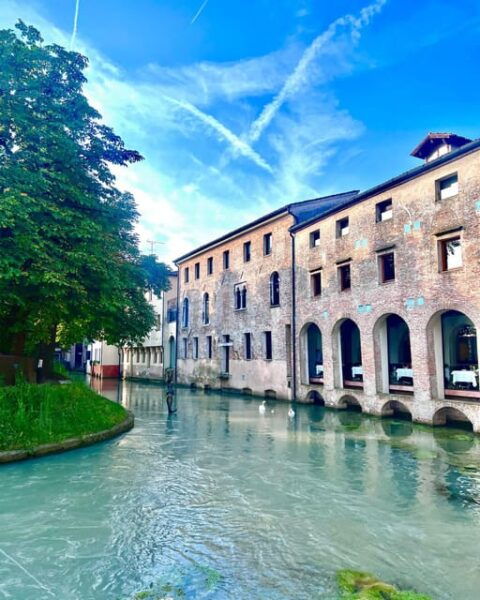 Treviso in Three Hours: Walking, Cooking and Tasting - Inclusions and Support