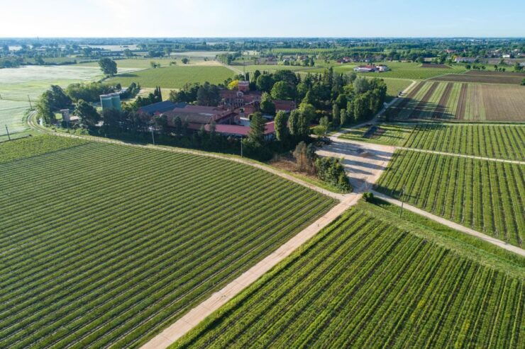 Treviso Neighborhood: Tenute Tomasella/Wine Experience - Activity Details