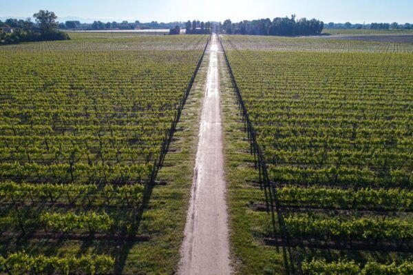 Treviso Neighborhood: Tenute Tomasella/Wine Experience - Accessibility and Languages