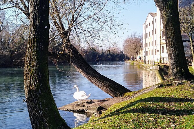 Treviso Tiramisù and the Sile River by Bicycle - Cancellation Policy