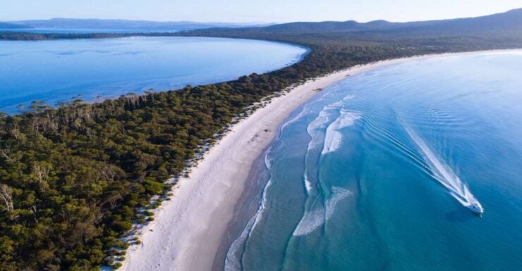 Triabunna: Maria Island and Ile Des Phoques Day Trip by Boat - Activity Details