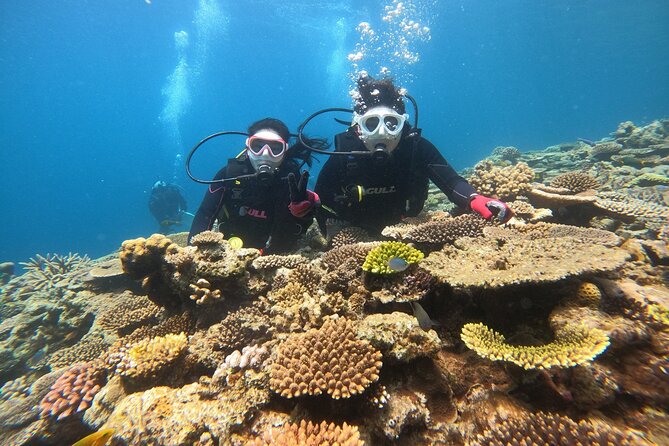 Trial Boat Dive 1 DIve at Minna or Sesoko , Okinawa - Reviews and Ratings