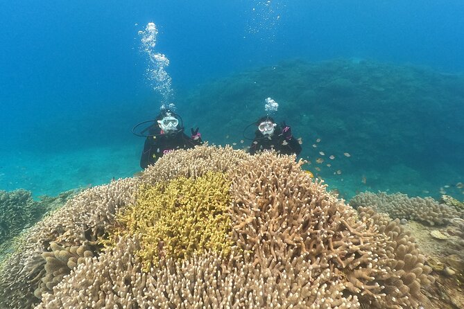 Trial Boat Dive 1 DIve at Minna or Sesoko , Okinawa - Pricing and Booking Details