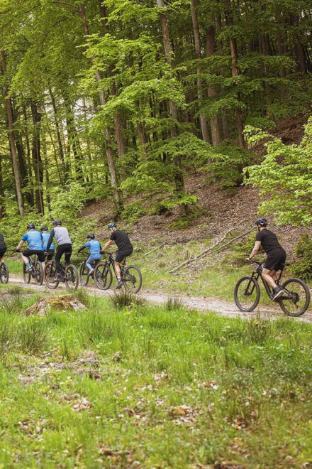 Tricity: Gdynia, Gdańsk, Sopot Guided E-Mtb Bike Tours - Inclusions and Requirements