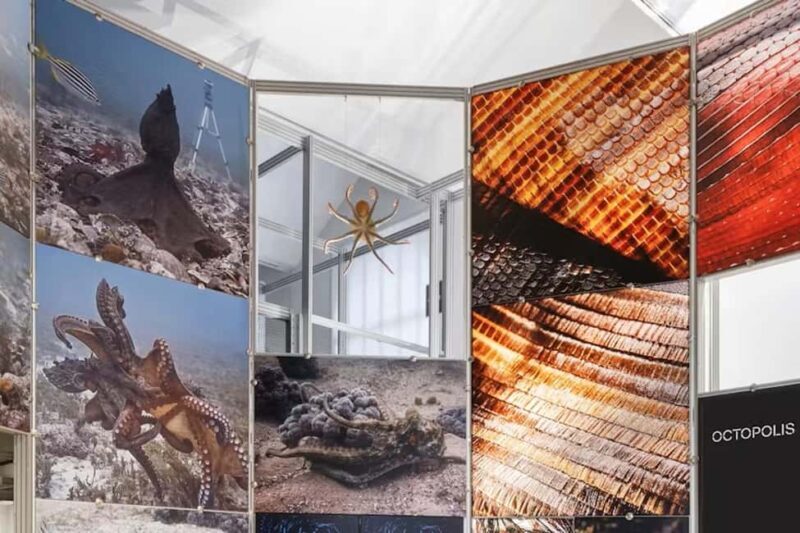 Triennale Milano: Guided visit  Living together: biodiversity and health - The Republic of Longevity