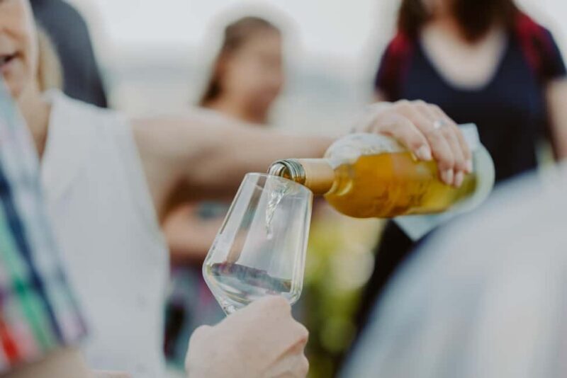 Trier: Mosel wine meets history  wine tour with cellar visit - Good To Know