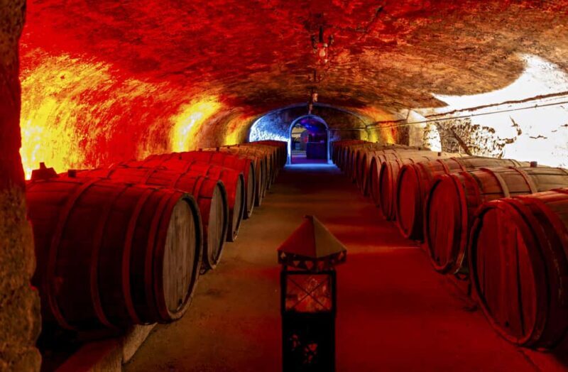 Trier: Mosel wine meets history  wine tour with cellar visit - Why Choose This Tour?
