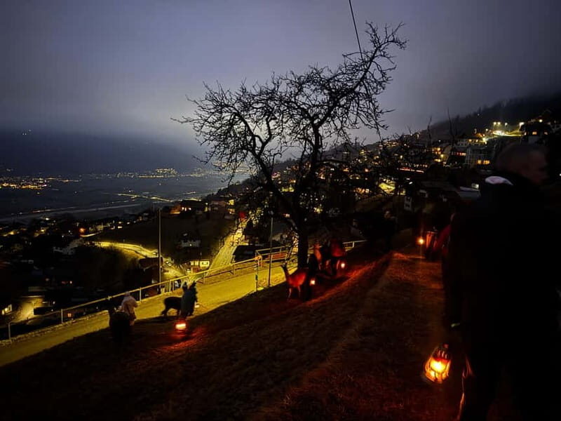 Triesenberg: Private hike with our llamas - Who Will Love This Experience?