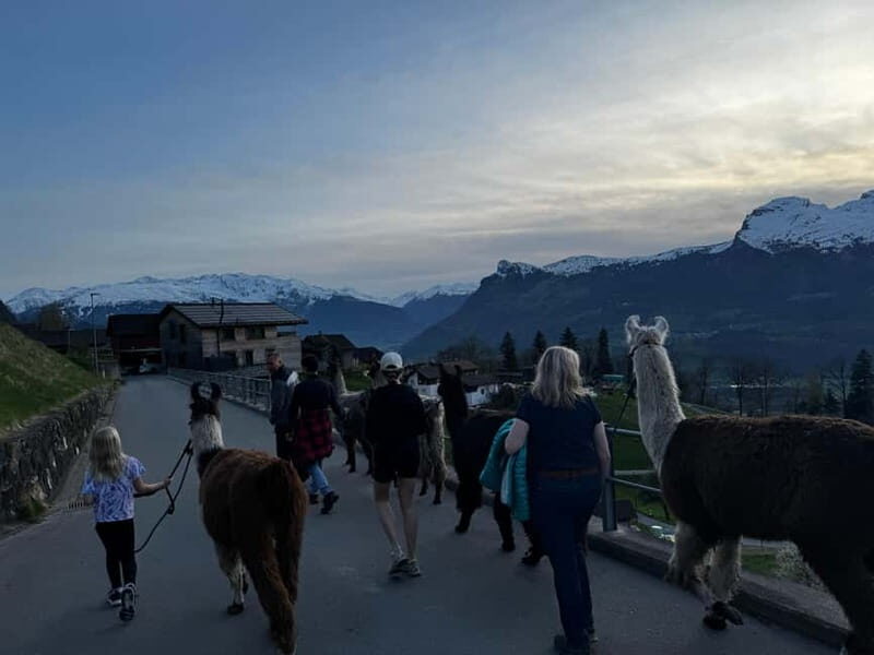 Triesenberg: Walk with Llamas in the Mountains - Good To Know