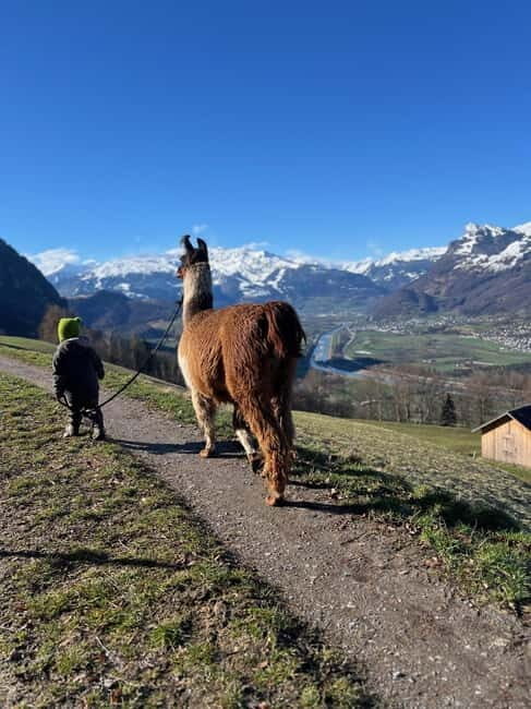 Triesenberg: Walk with Llamas in the Mountains - An In-Depth Look at the Triesenberg Llama Hike