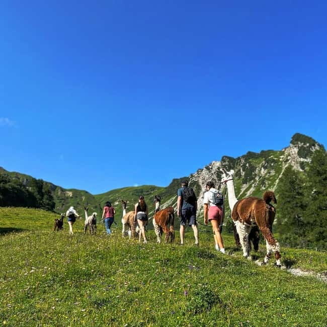 Triesenberg: Walk with Llamas in the Mountains - Frequently Asked Questions