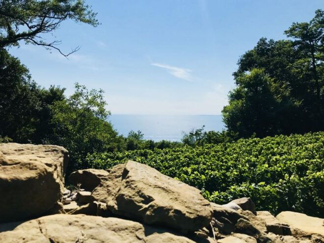 Trieste: 2.5-Hour Prosecco Origins Tour and Tastings - Customer Reviews