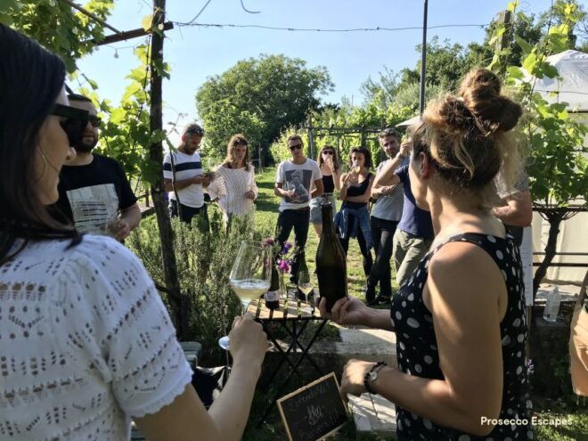 Trieste: 2.5-Hour Prosecco Origins Tour and Tastings - Meeting Point