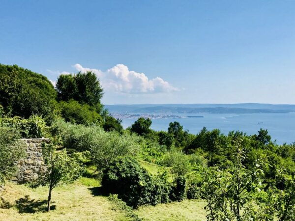 Trieste: 2.5-Hour Prosecco Origins Tour and Tastings - Frequently Asked Questions