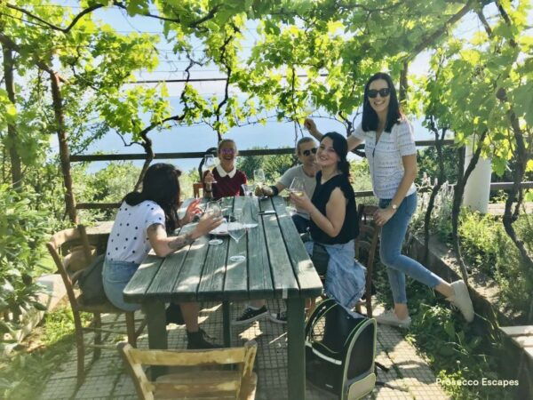 Trieste: 2.5-Hour Prosecco Origins Tour and Tastings - The Sum Up