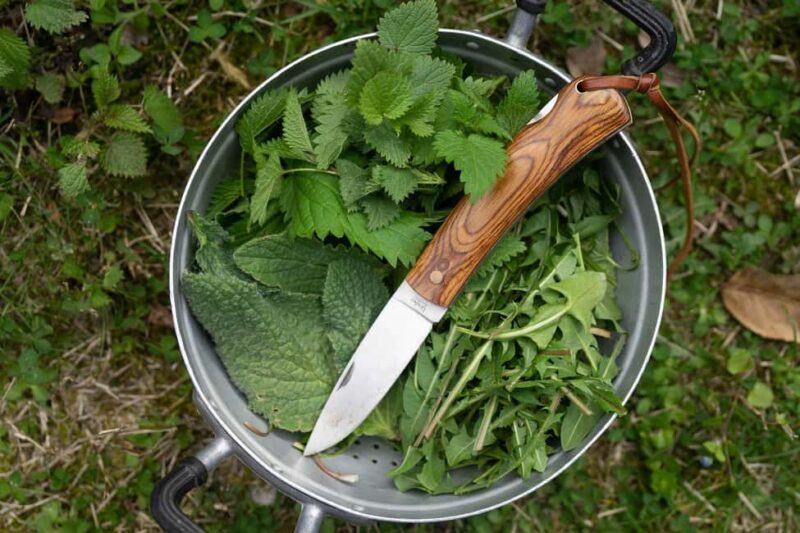 Trieste: a dive into local cuisine from field to table - Good To Know