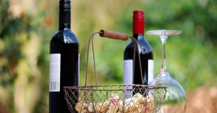 Trieste: Cividale Del Friuli and Wine Tastings - Tour Itinerary