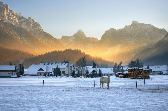 Triglav National Park and the Alps Private Tour - Cancellation Policy