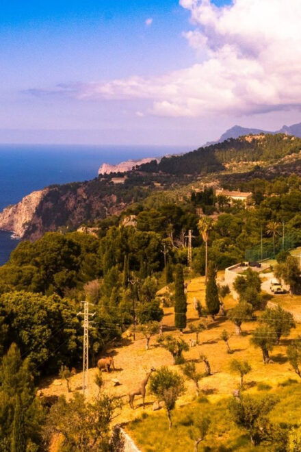 Trike Tour Mallorca for Passenger & Self Drive - Scenic Stops and Harbor Visit