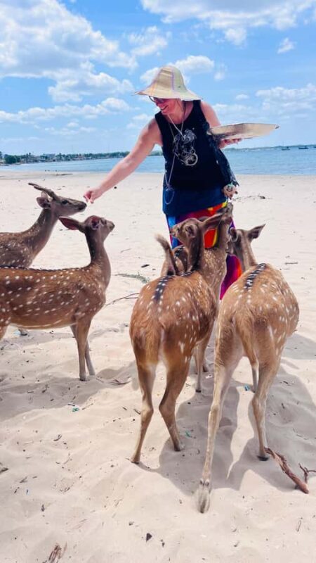 Trincomalee: 2-Day Private Tour with Snorkeling & Whales - Who Will Love This Tour?