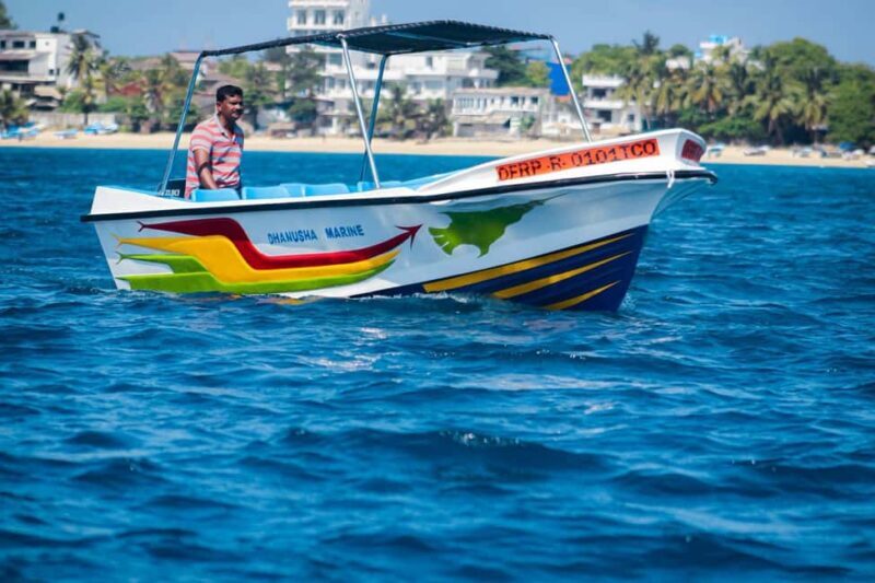 Trincomalee: All Inclusive Whale&Dolphin Watching Boat Tour - What to Expect from the Whale & Dolphin Watching Tour