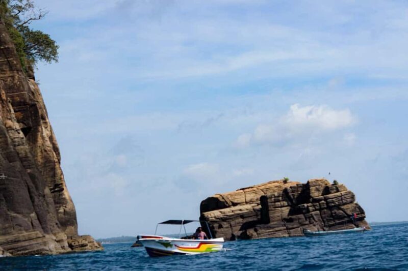 Trincomalee: All Inclusive Whale&Dolphin Watching Boat Tour - Who Will Love This Tour?